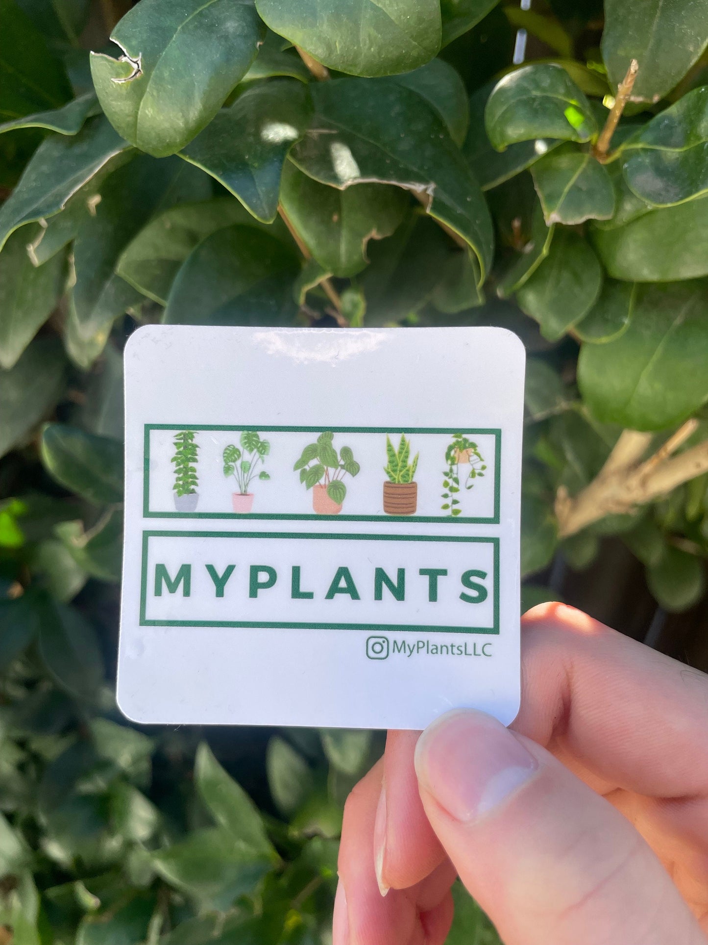 Plant Sticker - from MyPlants