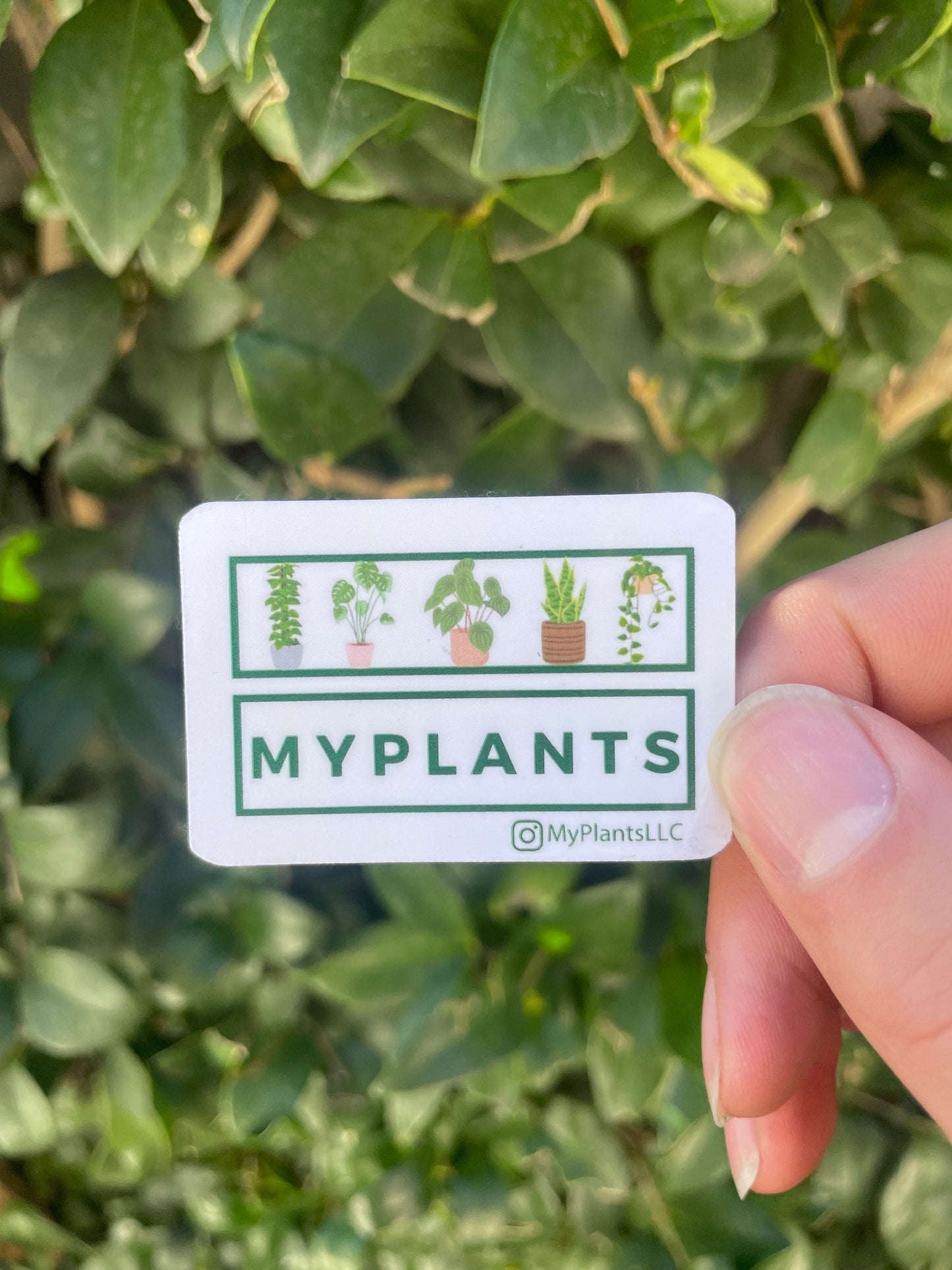 Plant Sticker - from MyPlants