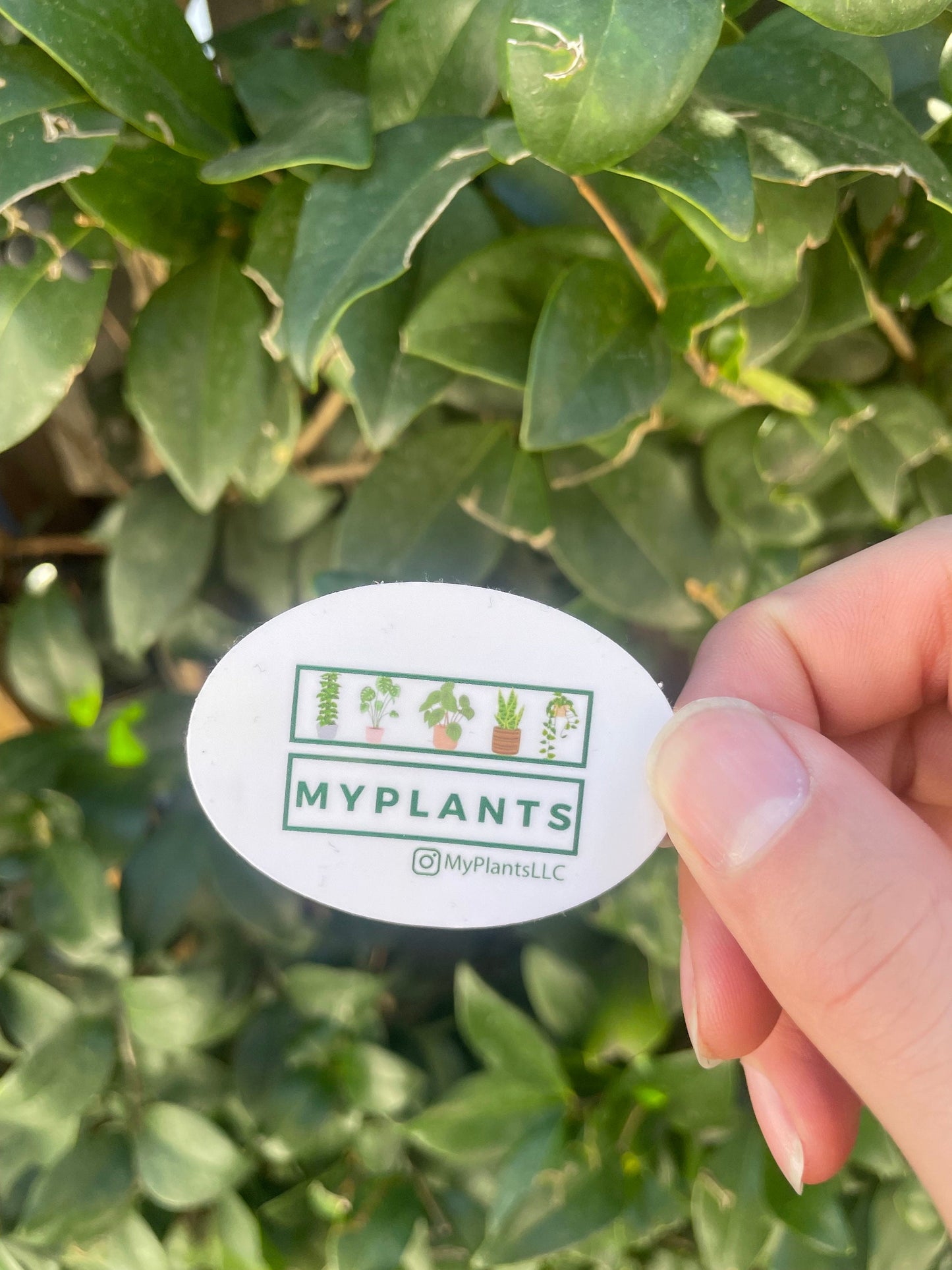 Plant Sticker - from MyPlants