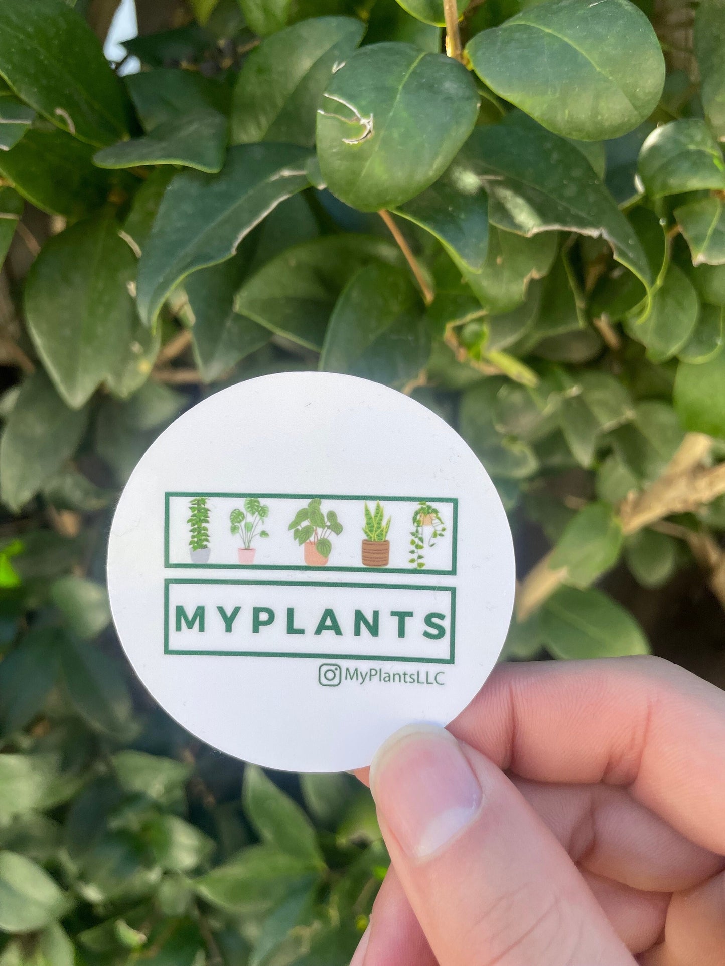 Plant Sticker - from MyPlants