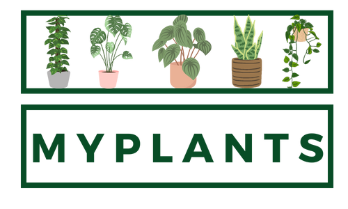 MyPlants LLC